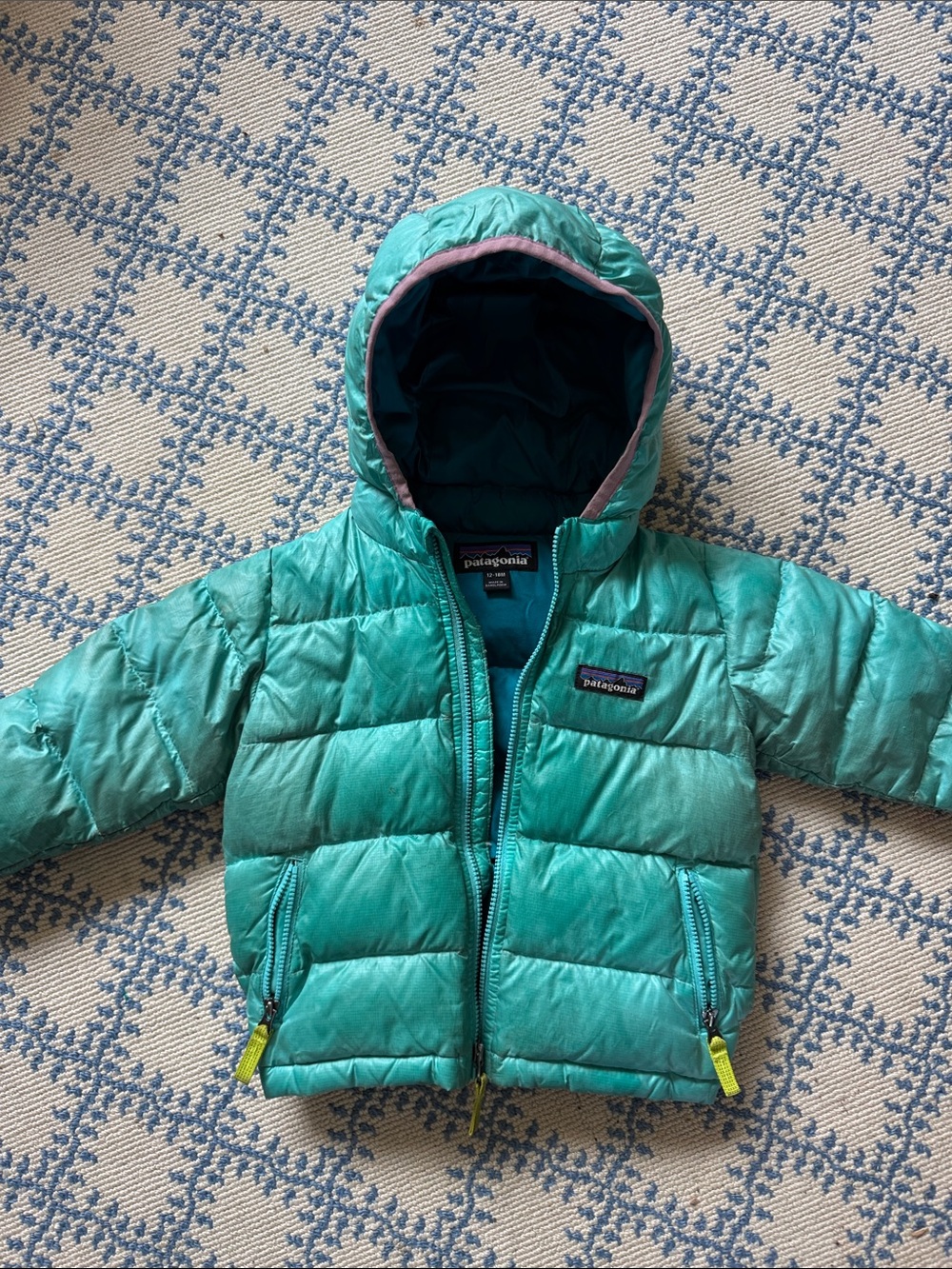 Patagonia Hi-Loft Hooded Down Jacket